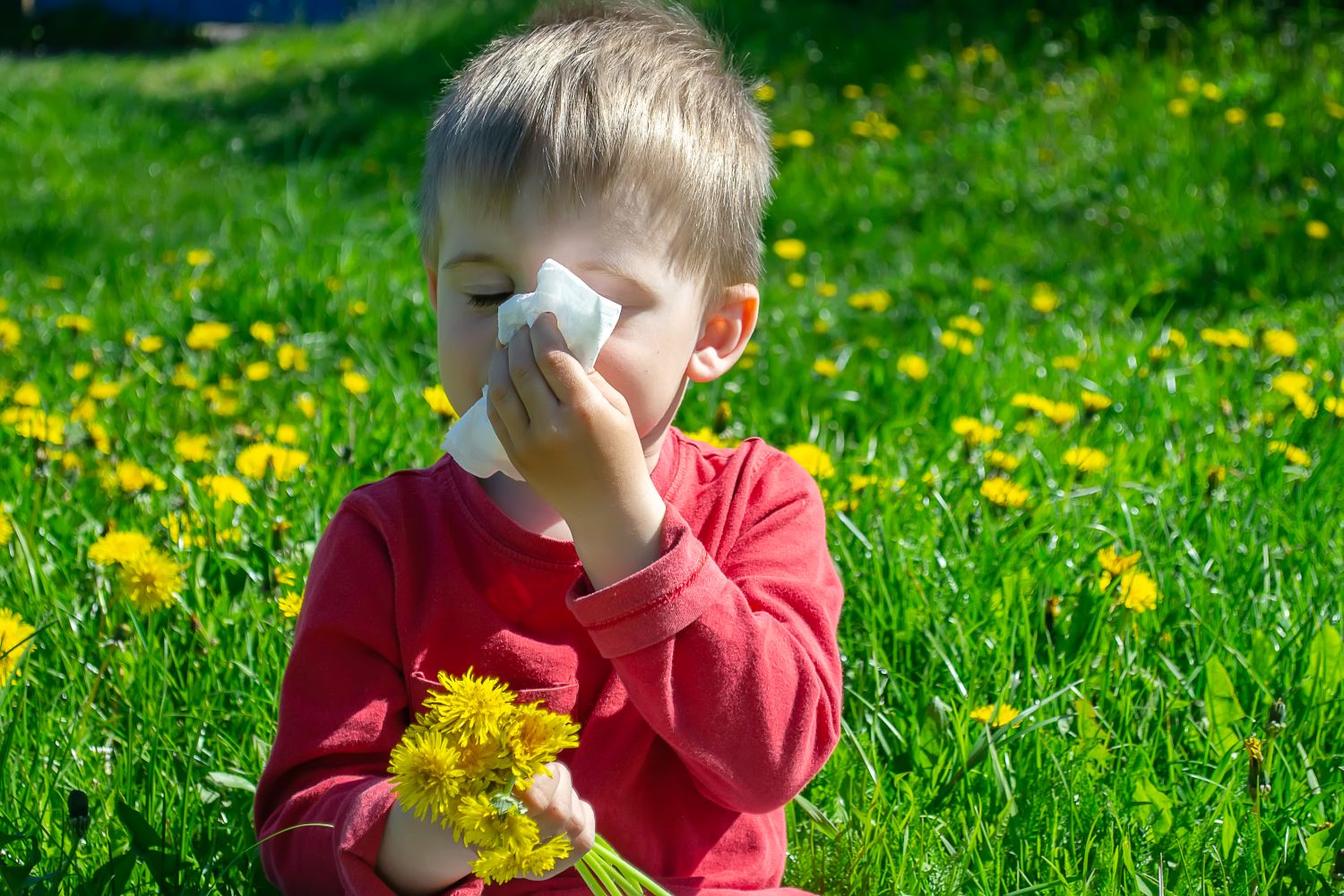 Allergies in Children